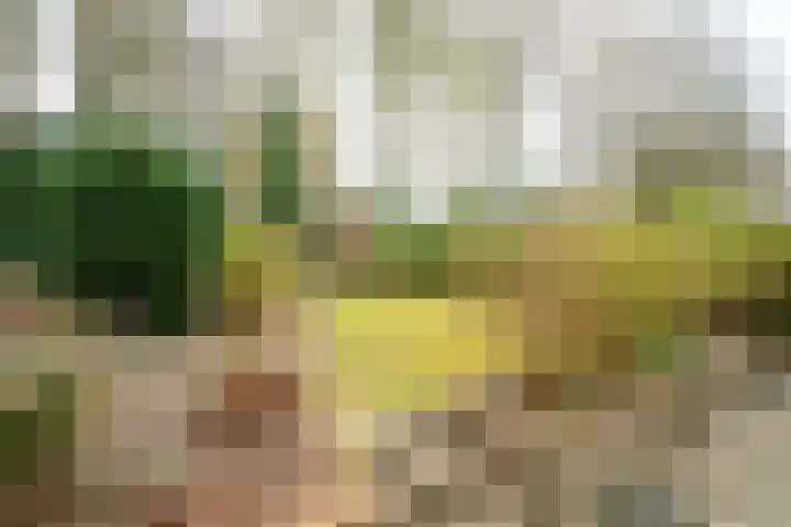Van Ketwich Verschuurlaan 12 Groningen thumbnail 44