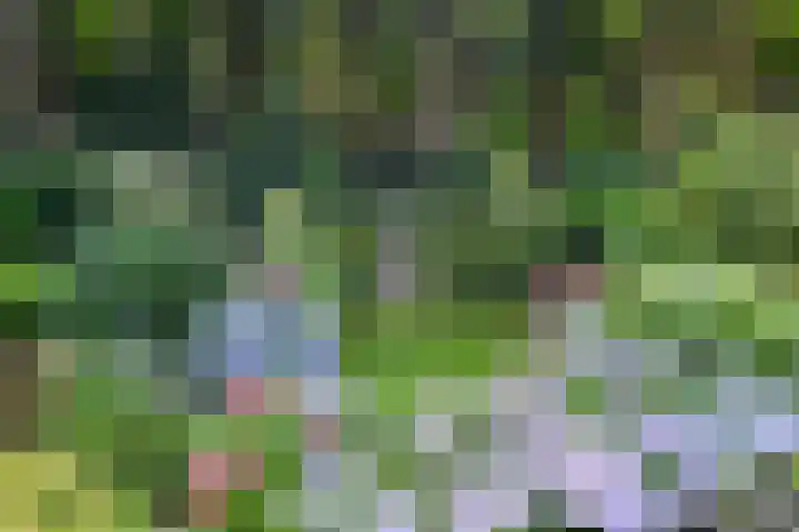 Van Ketwich Verschuurlaan 12 Groningen thumbnail 45