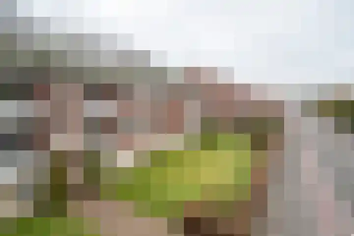 Van Ketwich Verschuurlaan 12 Groningen thumbnail 5