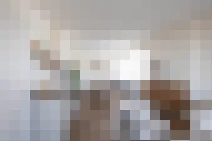 Van Ketwich Verschuurlaan 145 Groningen thumbnail 14