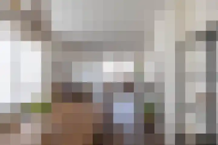 Van Ketwich Verschuurlaan 145 Groningen thumbnail 18