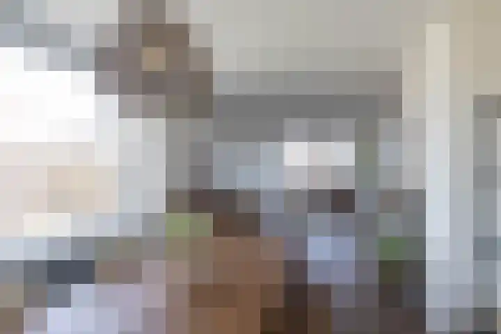 Van Ketwich Verschuurlaan 145 Groningen thumbnail 20