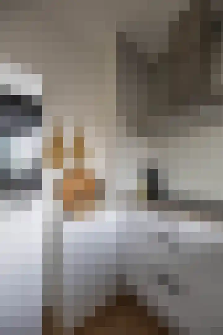 Van Ketwich Verschuurlaan 145 Groningen thumbnail 29