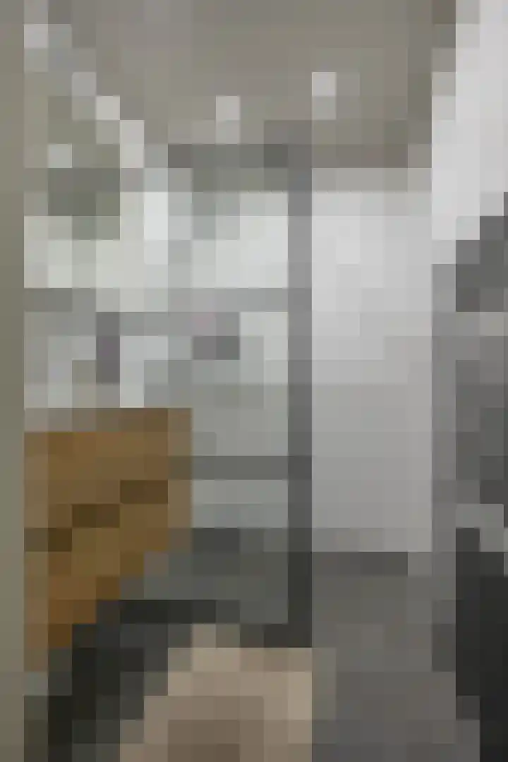 Van Ketwich Verschuurlaan 145 Groningen thumbnail 4