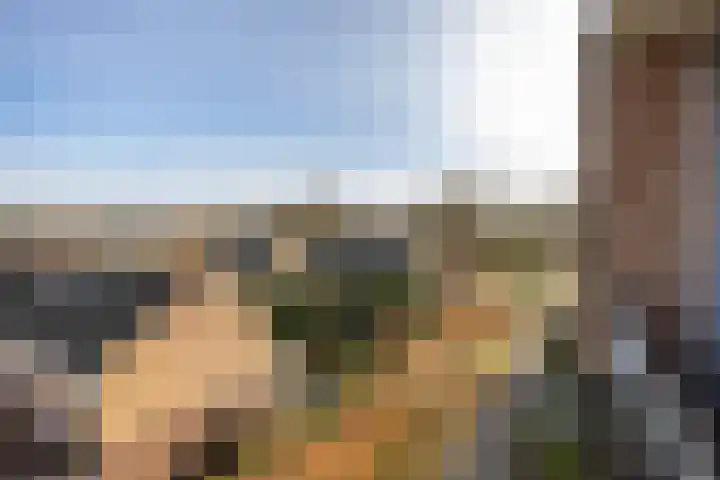Van Ketwich Verschuurlaan 145 Groningen thumbnail 5