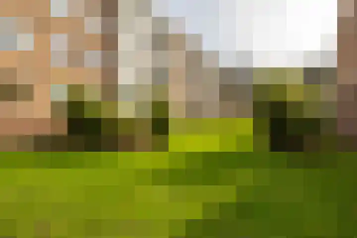 Van Ketwich Verschuurlaan 145 Groningen thumbnail 7