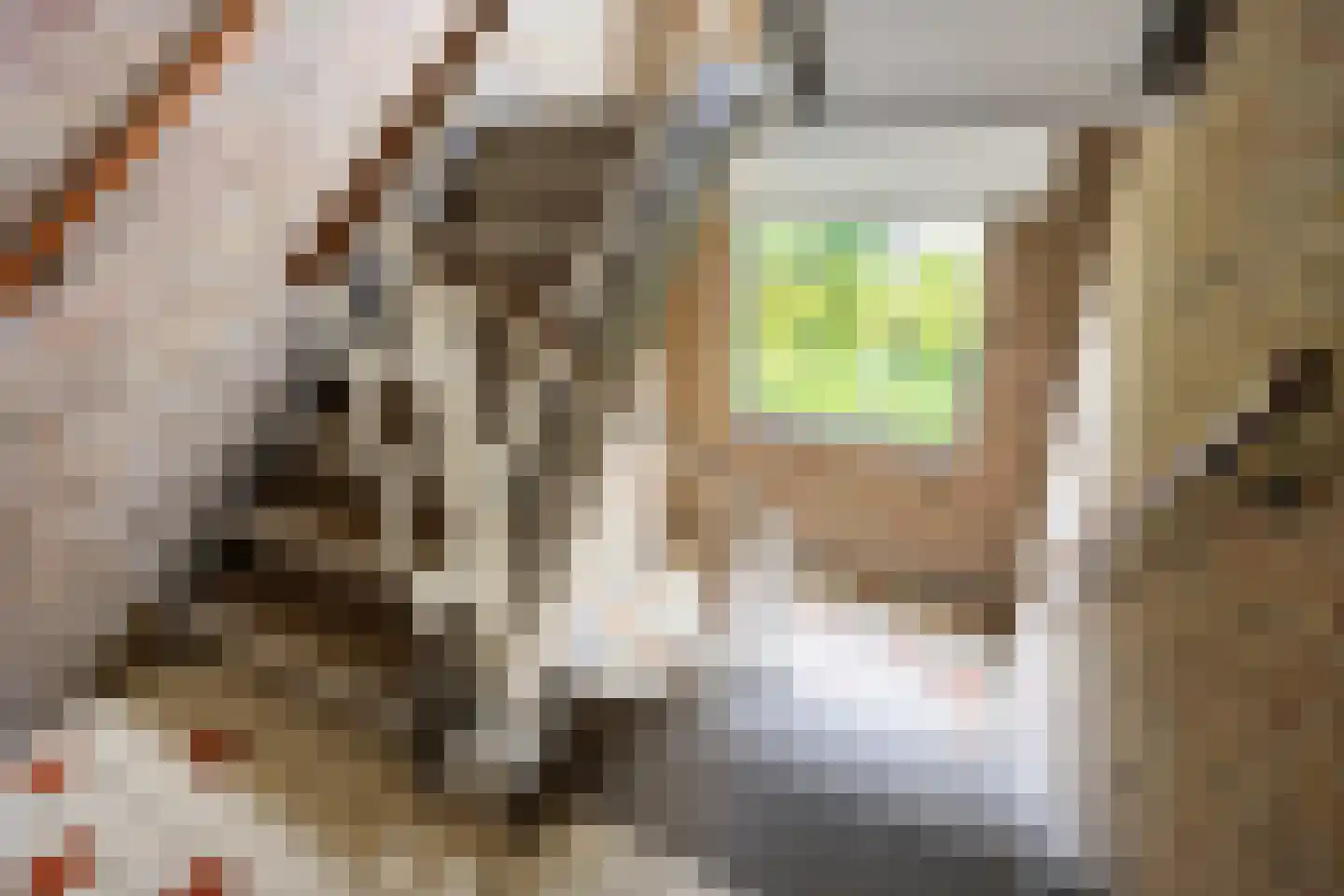 Van Ketwich Verschuurlaan 173 Groningen thumbnail 11