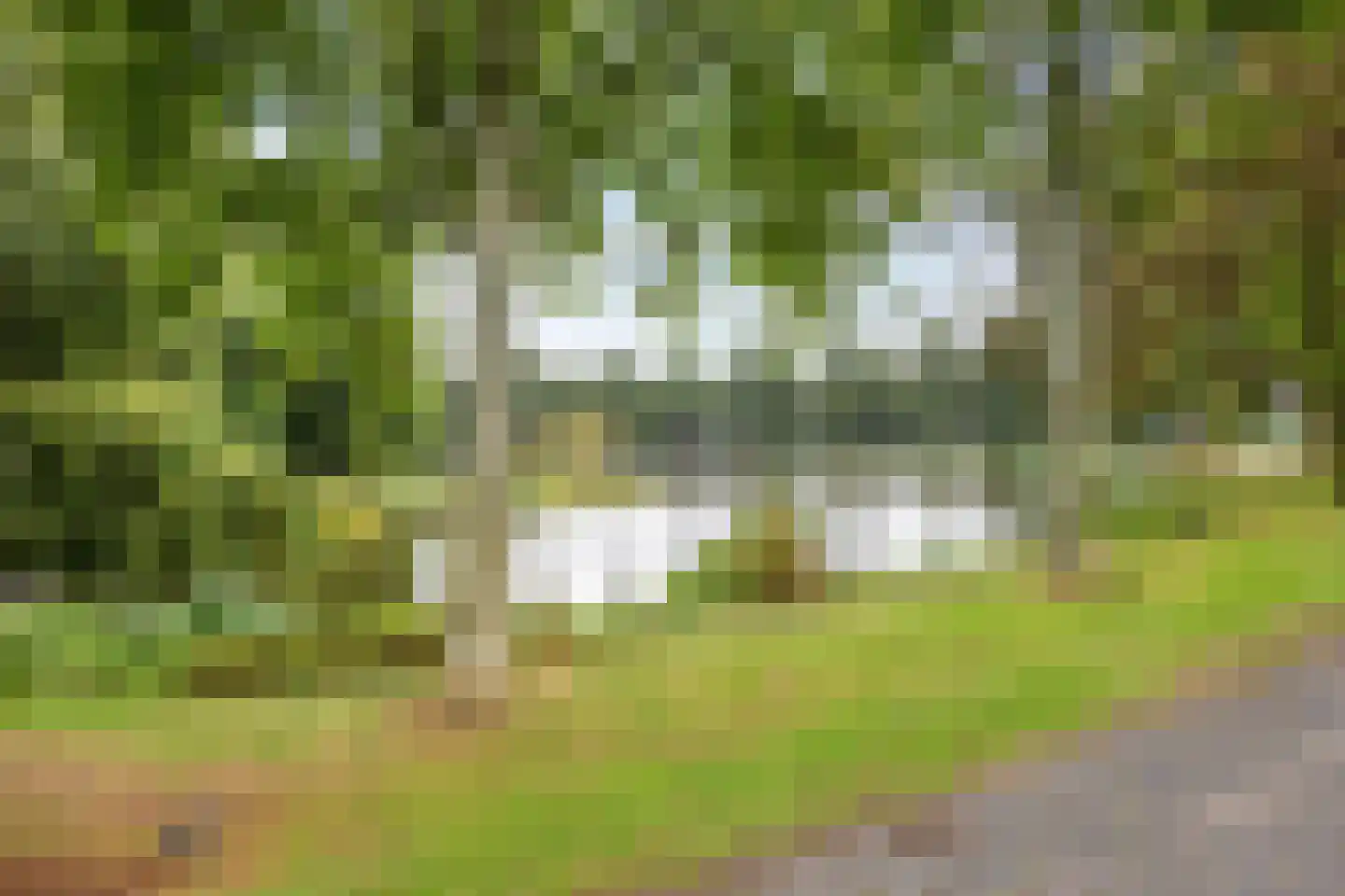 Van Ketwich Verschuurlaan 173 Groningen thumbnail 37