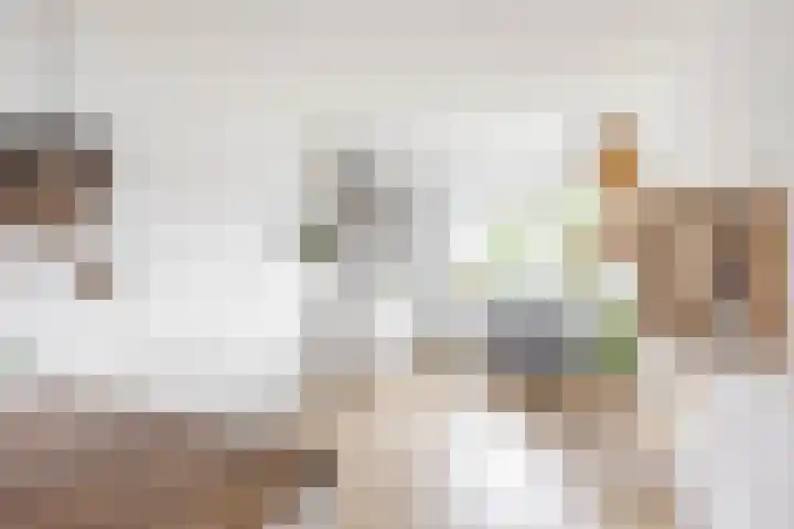 Van Ketwich Verschuurlaan 195 Groningen thumbnail 11