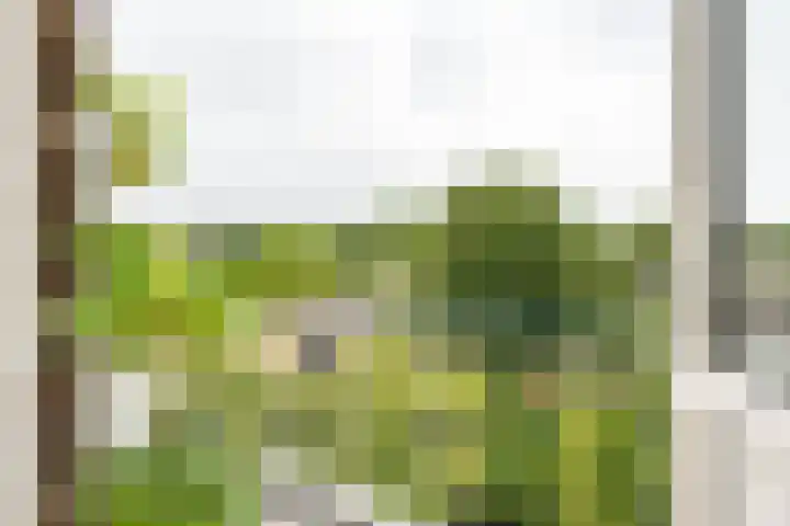 Van Ketwich Verschuurlaan 195 Groningen thumbnail 19