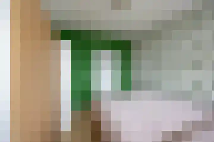 Van Ketwich Verschuurlaan 195 Groningen thumbnail 21