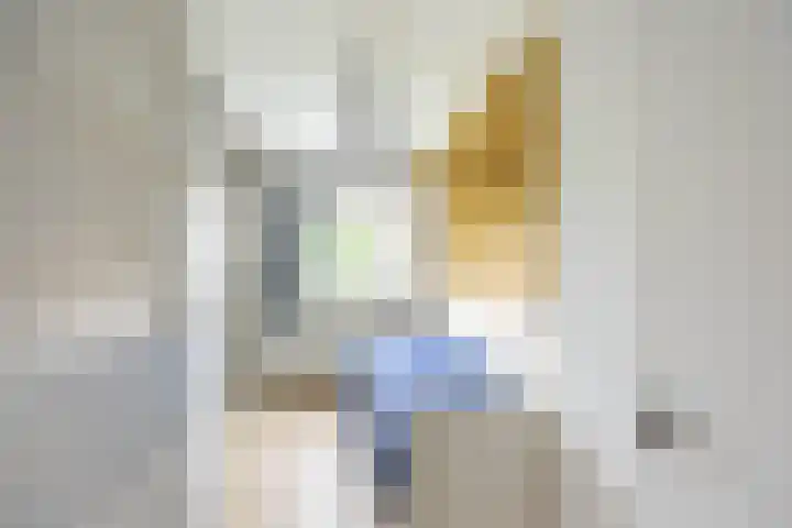 Van Ketwich Verschuurlaan 195 Groningen thumbnail 22