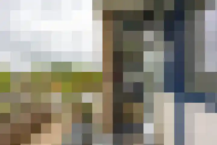 Van Ketwich Verschuurlaan 195 Groningen thumbnail 27