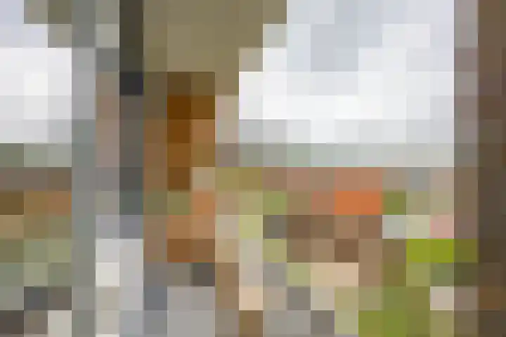 Van Ketwich Verschuurlaan 195 Groningen thumbnail 28