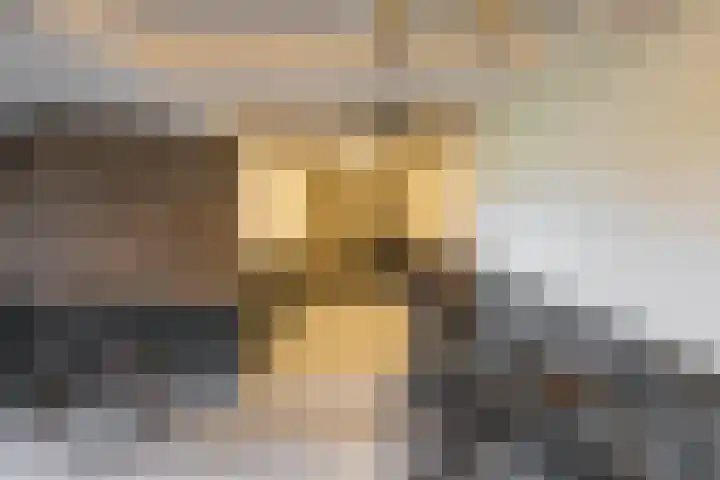 Van Ketwich Verschuurlaan 195 Groningen thumbnail 29