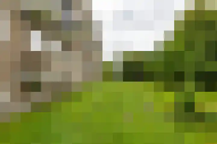 Van Ketwich Verschuurlaan 195 Groningen thumbnail 31
