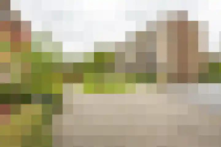 Van Ketwich Verschuurlaan 195 Groningen thumbnail 32