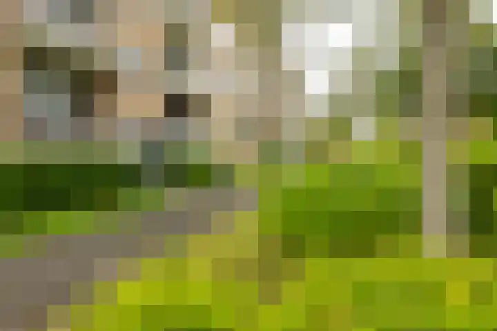 Van Ketwich Verschuurlaan 195 Groningen thumbnail 4