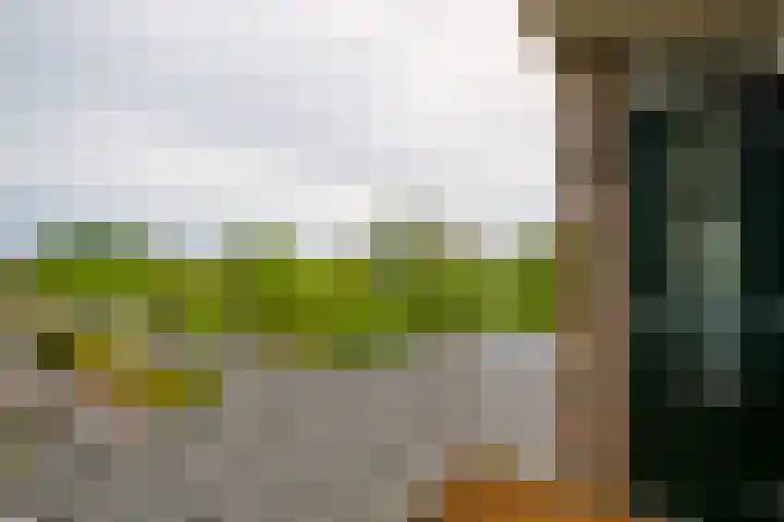 Van Ketwich Verschuurlaan 239 Groningen thumbnail 10