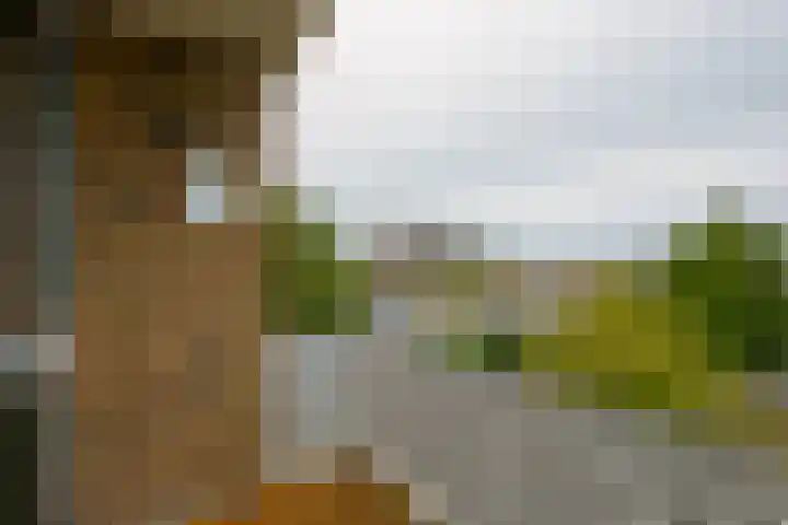 Van Ketwich Verschuurlaan 239 Groningen thumbnail 11
