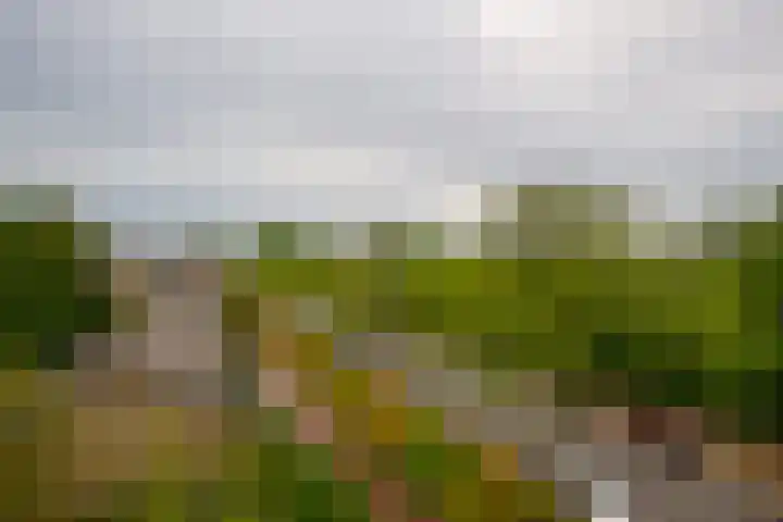 Van Ketwich Verschuurlaan 239 Groningen thumbnail 12