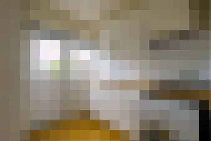 Van Ketwich Verschuurlaan 239 Groningen thumbnail 15