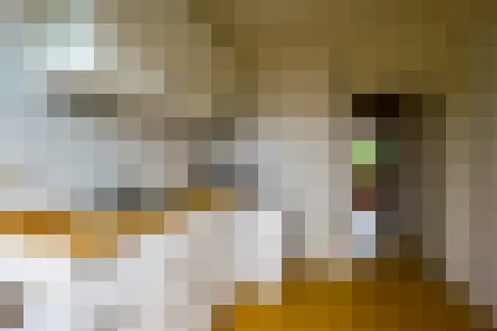 Van Ketwich Verschuurlaan 239 Groningen thumbnail 16
