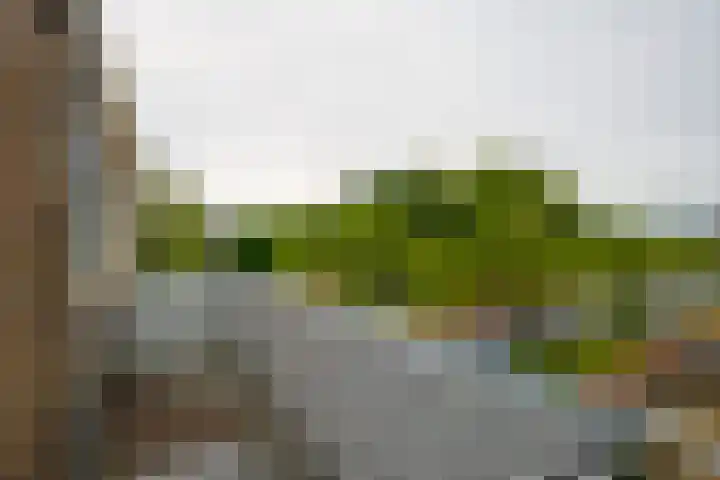 Van Ketwich Verschuurlaan 239 Groningen thumbnail 18