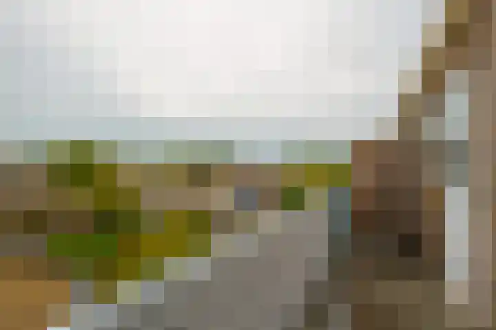Van Ketwich Verschuurlaan 239 Groningen thumbnail 19