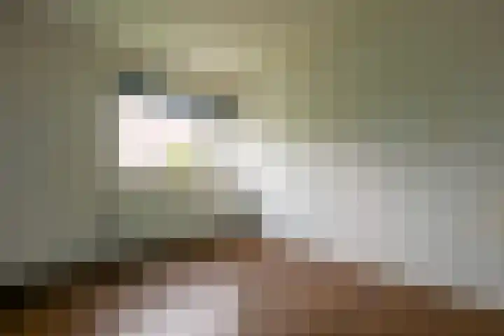 Van Ketwich Verschuurlaan 239 Groningen thumbnail 23