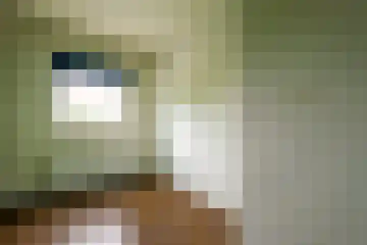 Van Ketwich Verschuurlaan 239 Groningen thumbnail 25