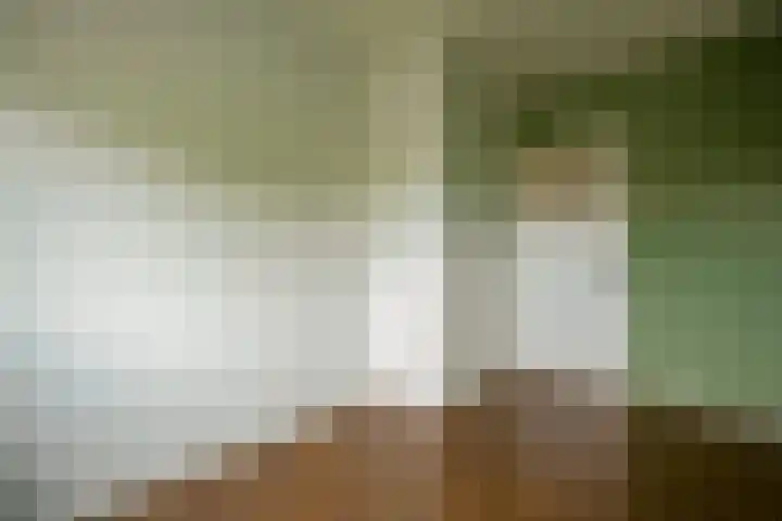 Van Ketwich Verschuurlaan 239 Groningen thumbnail 26
