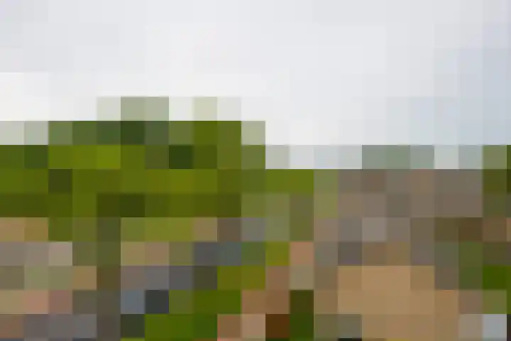 Van Ketwich Verschuurlaan 239 Groningen thumbnail 30