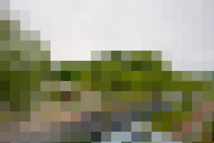 Van Ketwich Verschuurlaan 239 Groningen thumbnail 31