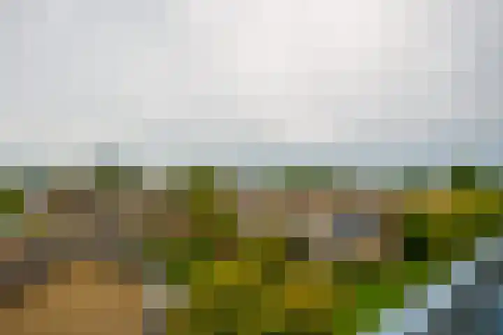 Van Ketwich Verschuurlaan 239 Groningen thumbnail 32