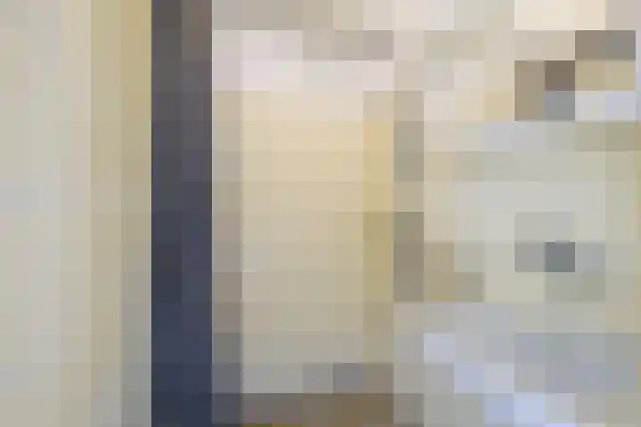 Van Ketwich Verschuurlaan 239 Groningen thumbnail 34