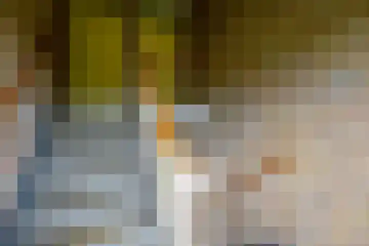 Van Ketwich Verschuurlaan 239 Groningen thumbnail 36
