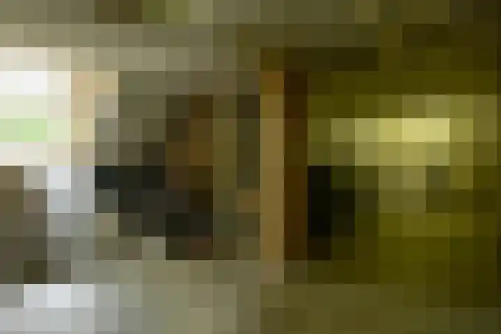 Van Ketwich Verschuurlaan 239 Groningen thumbnail 39