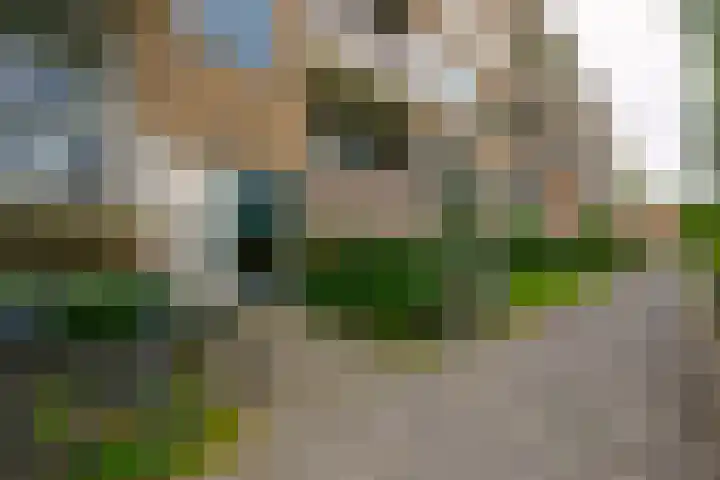 Van Ketwich Verschuurlaan 239 Groningen thumbnail 4