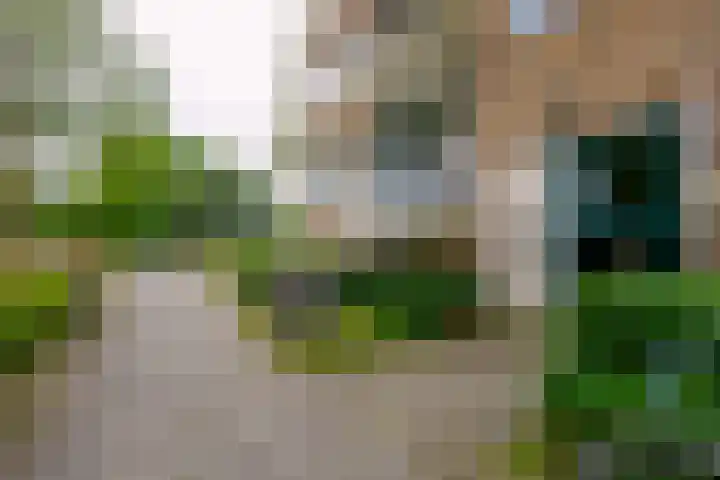 Van Ketwich Verschuurlaan 239 Groningen thumbnail 5
