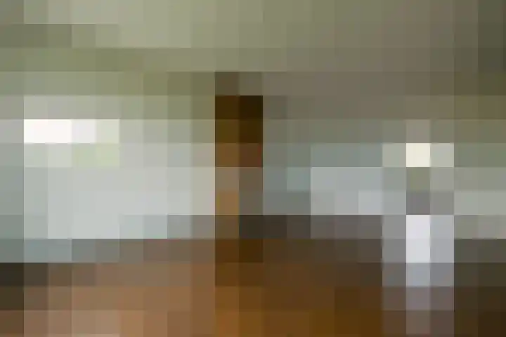 Van Ketwich Verschuurlaan 239 Groningen thumbnail 8