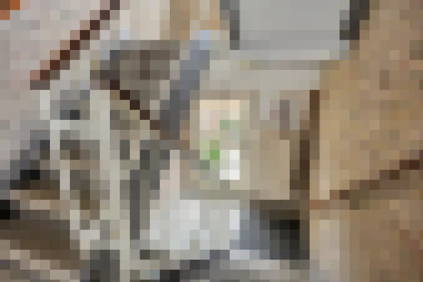 Van Ketwich Verschuurlaan 251 Groningen thumbnail 11
