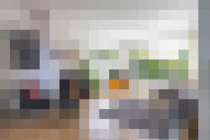 Van Ketwich Verschuurlaan 275 Groningen thumbnail 15