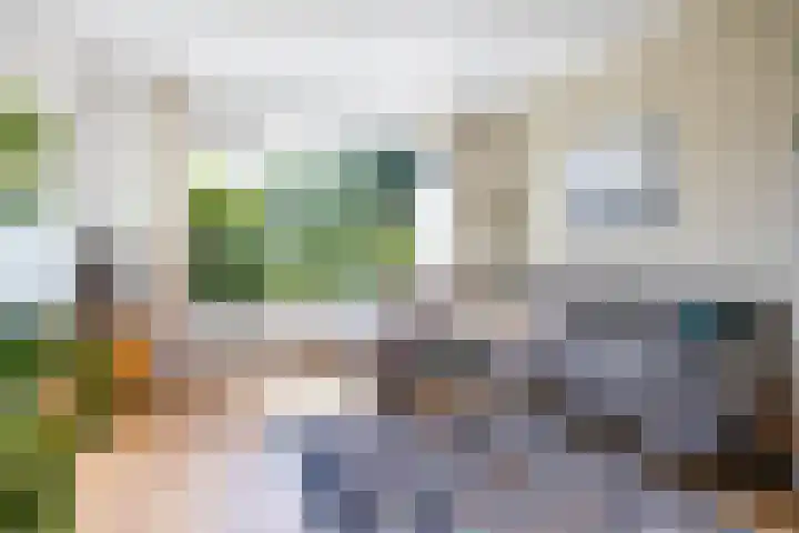 Van Ketwich Verschuurlaan 275 Groningen thumbnail 16