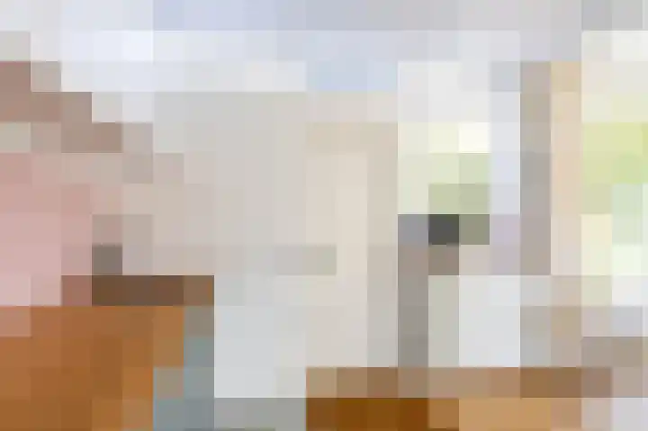 Van Ketwich Verschuurlaan 275 Groningen thumbnail 22