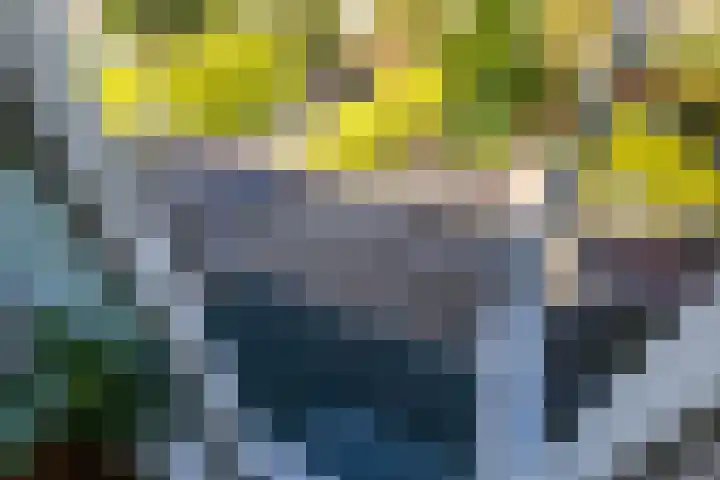 Van Ketwich Verschuurlaan 275 Groningen thumbnail 34