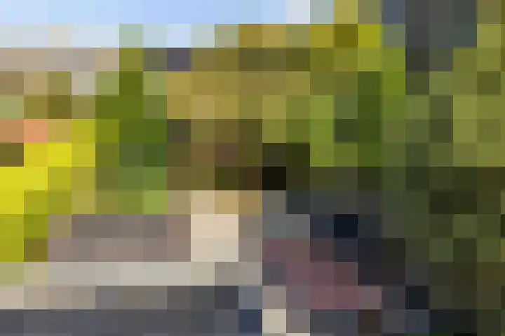 Van Ketwich Verschuurlaan 275 Groningen thumbnail 35