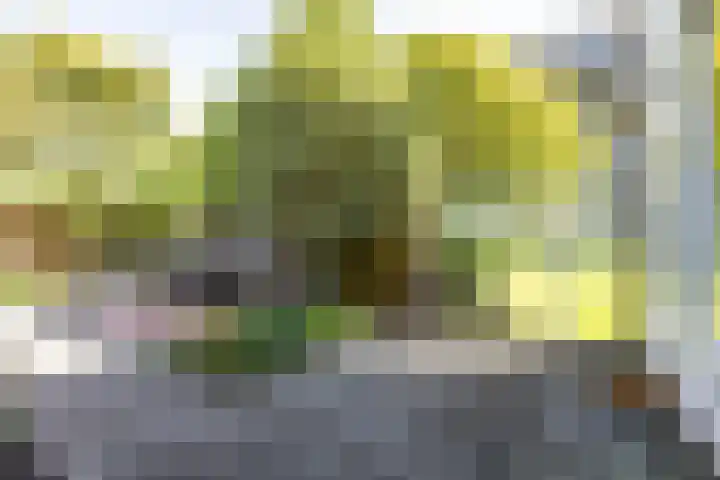 Van Ketwich Verschuurlaan 275 Groningen thumbnail 39