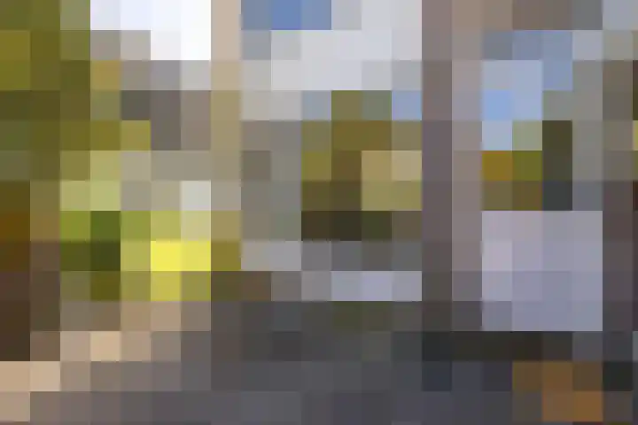Van Ketwich Verschuurlaan 275 Groningen thumbnail 40