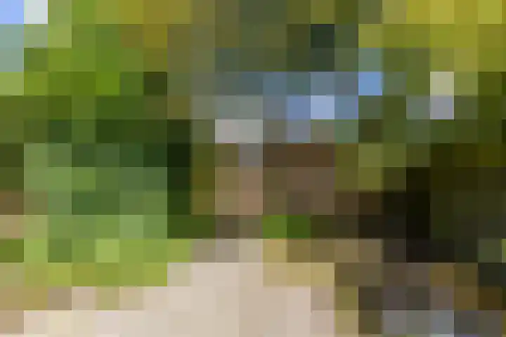 Van Ketwich Verschuurlaan 275 Groningen thumbnail 43